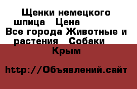 Щенки немецкого шпица › Цена ­ 20 000 - Все города Животные и растения » Собаки   . Крым